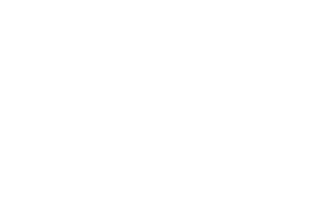Active Minds logo - all white